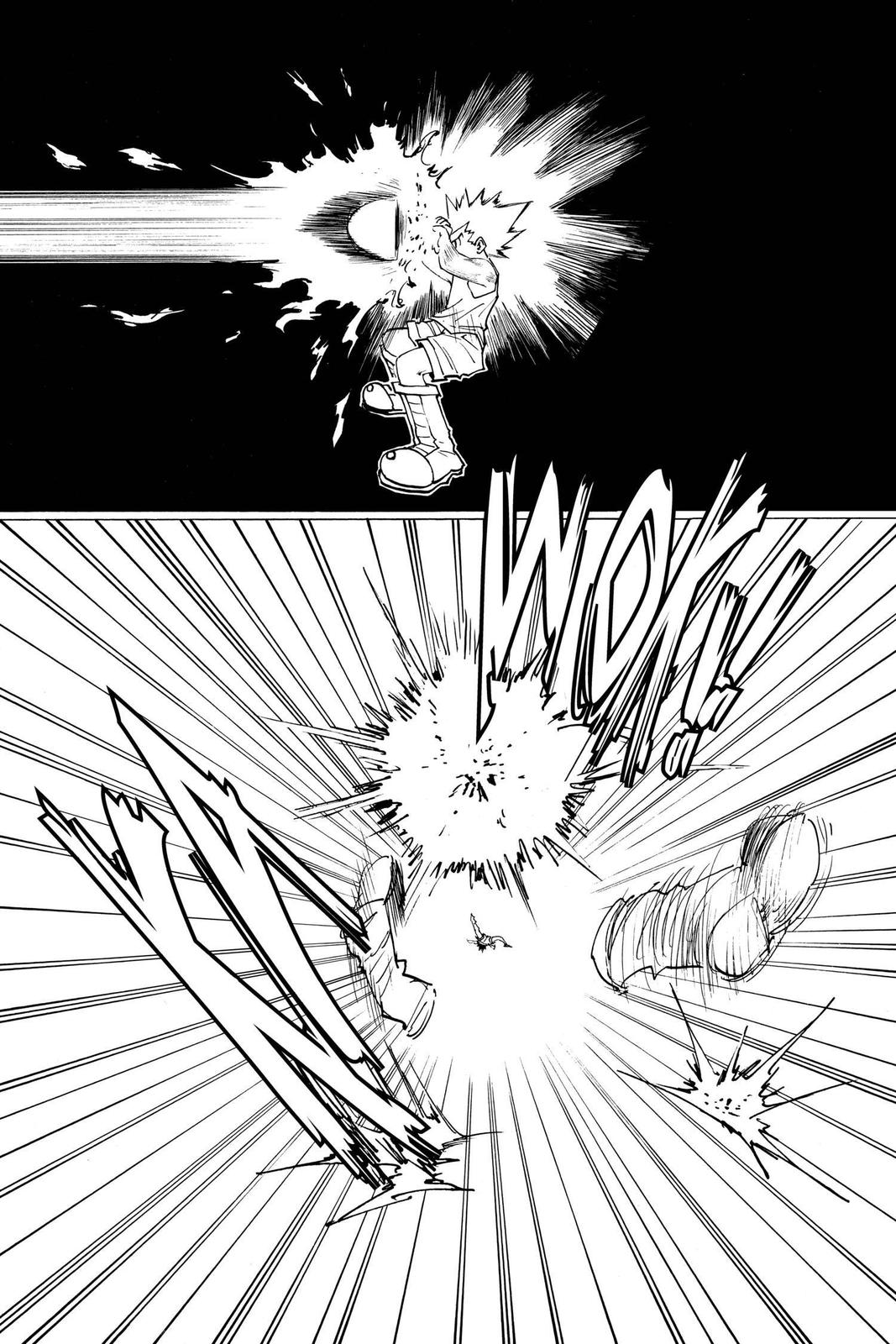 Read Hunter x Hunter chapter 163 image 8 on Lezhin