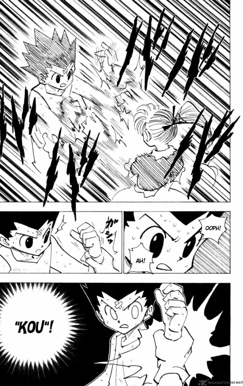 Read Hunter x Hunter chapter 171 image 4 on Lezhin