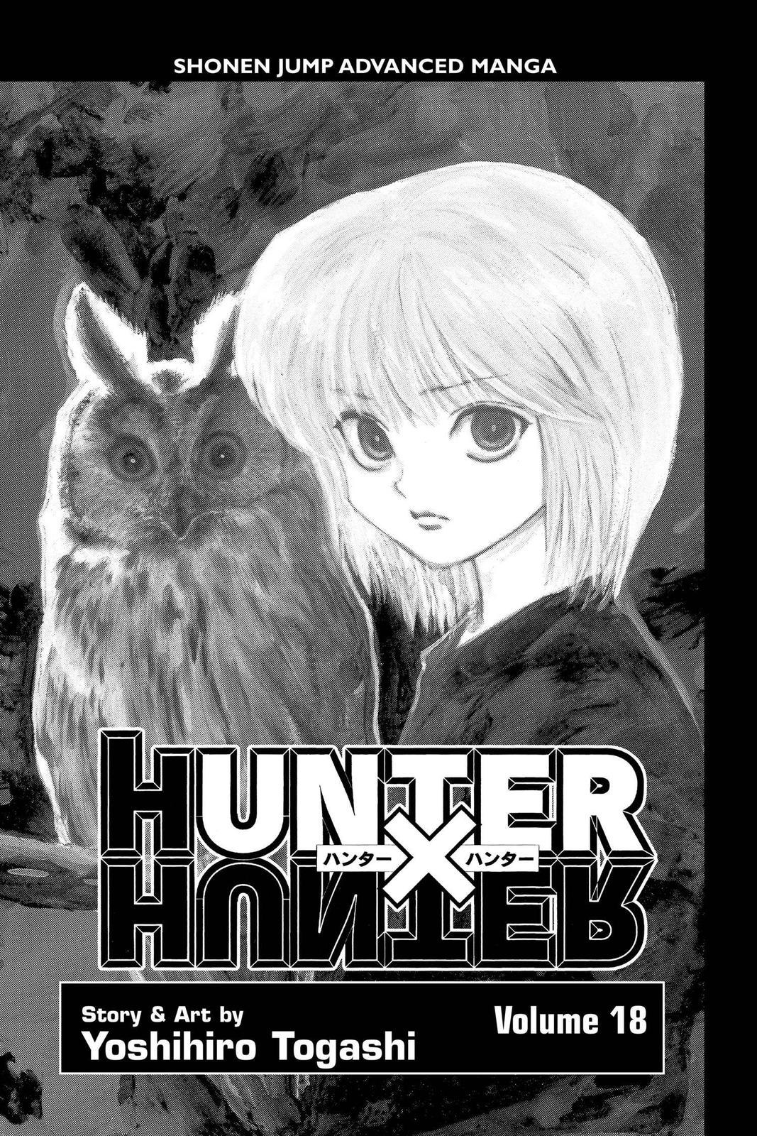 Read Hunter x Hunter chapter 176 image 3 on Lezhin