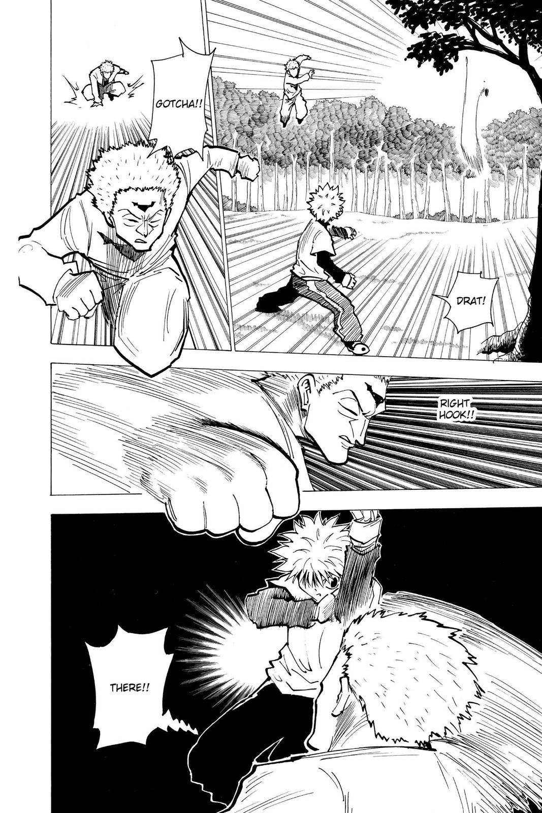 Read Hunter x Hunter chapter 178 image 9 on Lezhin