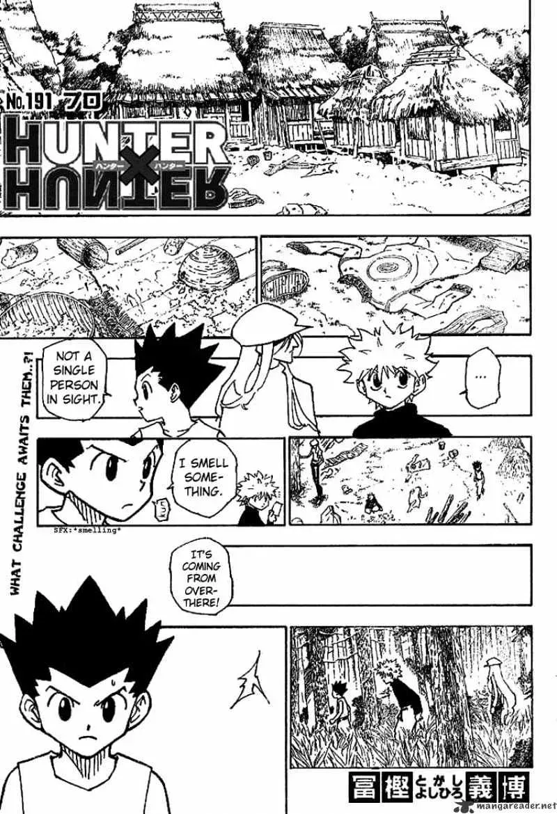 Read Hunter x Hunter chapter 191.2 image 1 on Lezhin