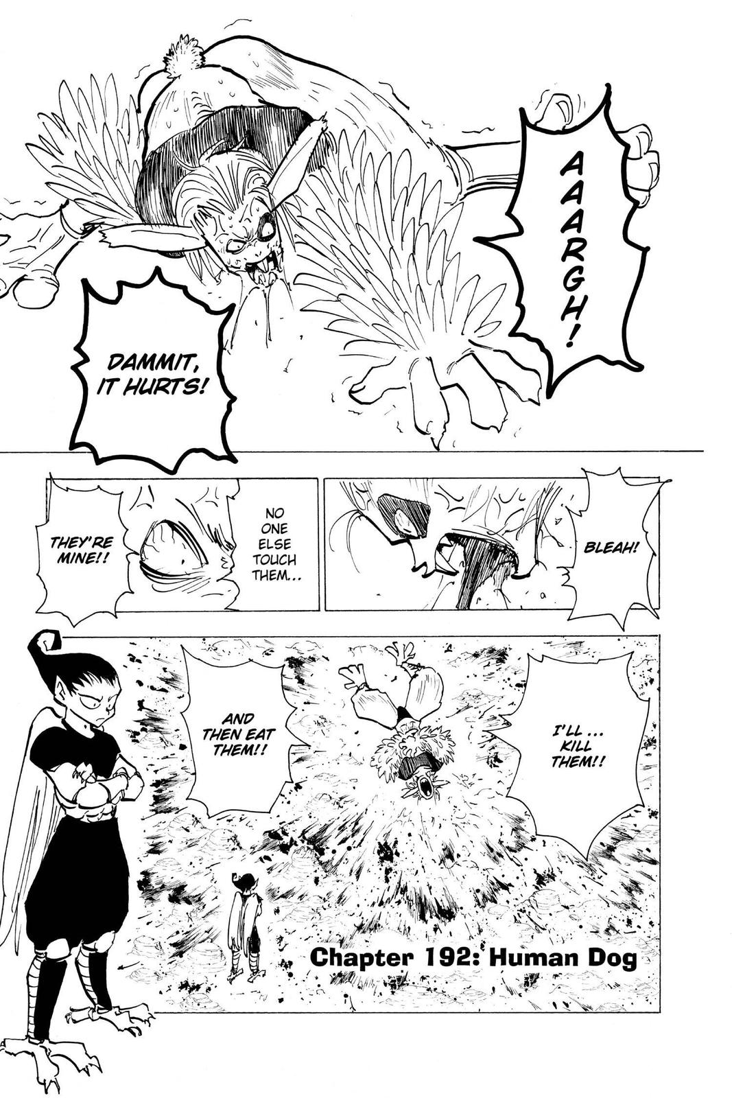 Read Hunter x Hunter chapter 192 image 0 on Lezhin