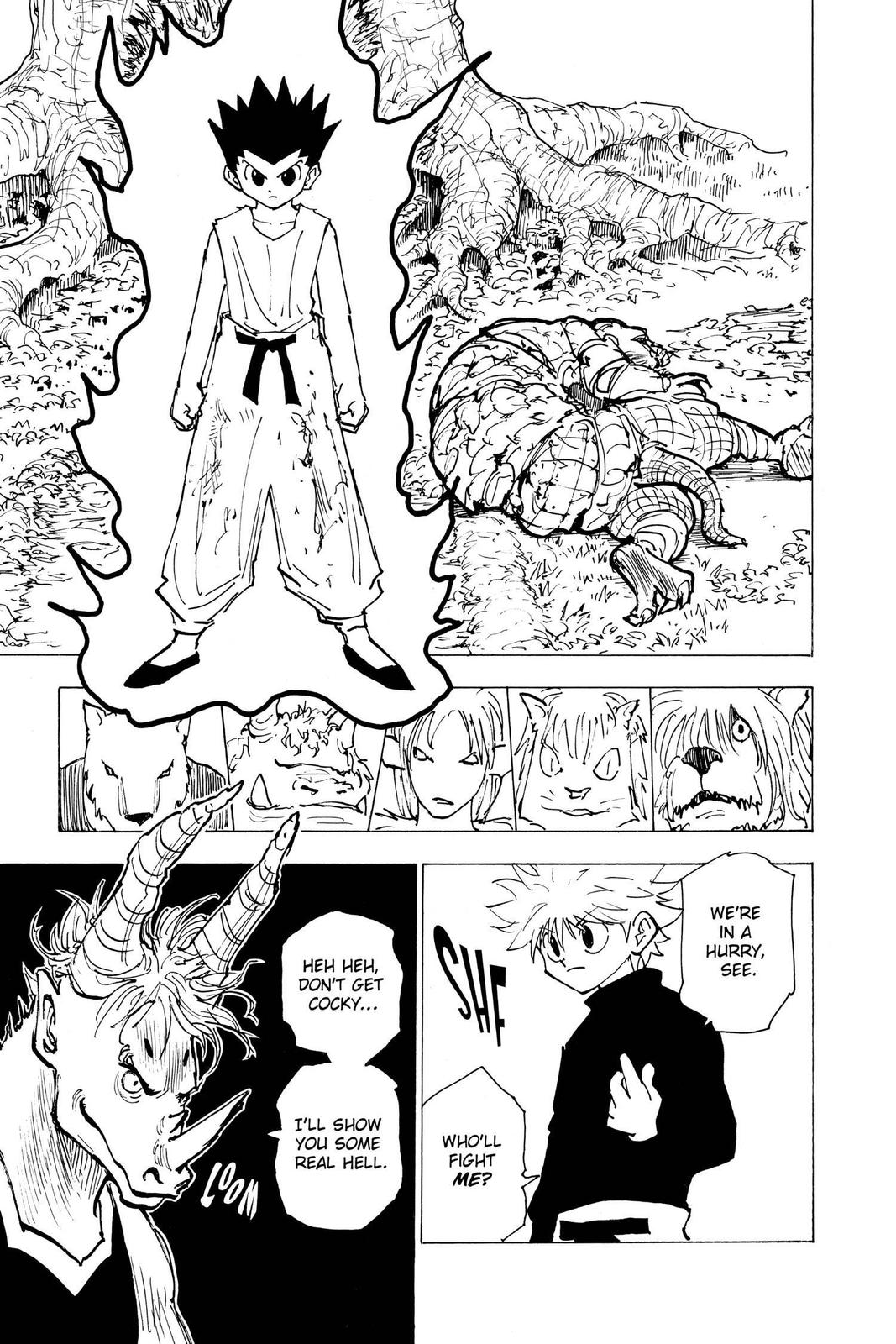 Read Hunter x Hunter chapter 195 image 13 on Lezhin
