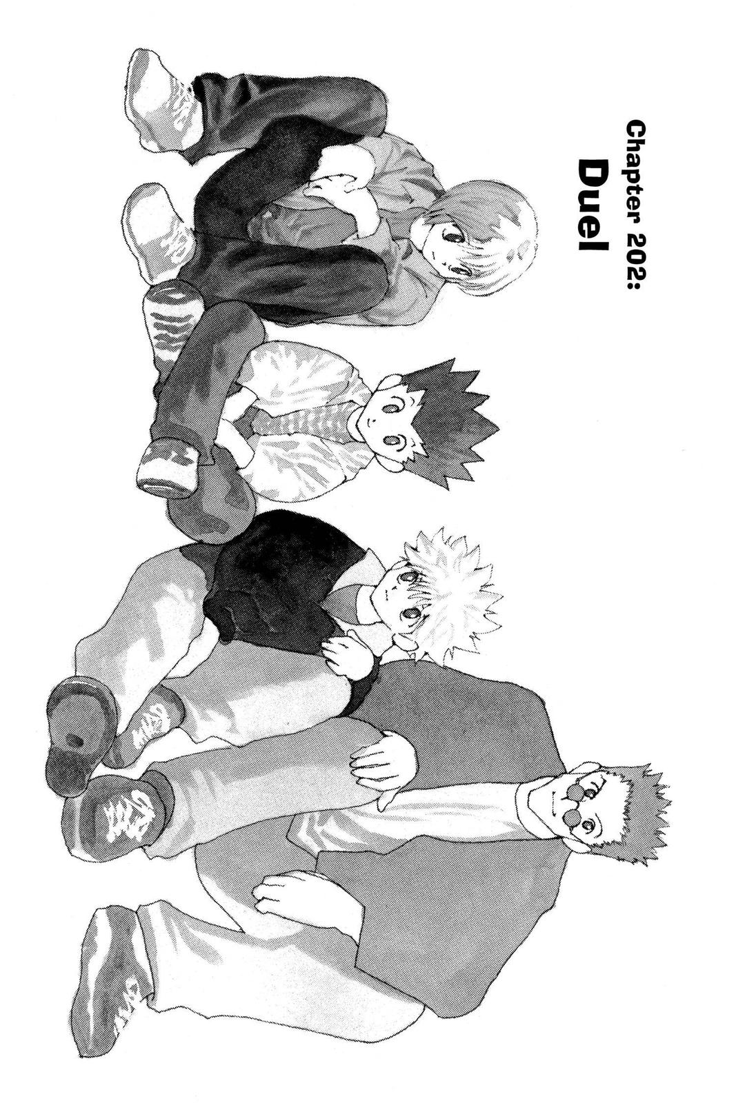 Read Hunter x Hunter chapter 202 image 0 on Lezhin