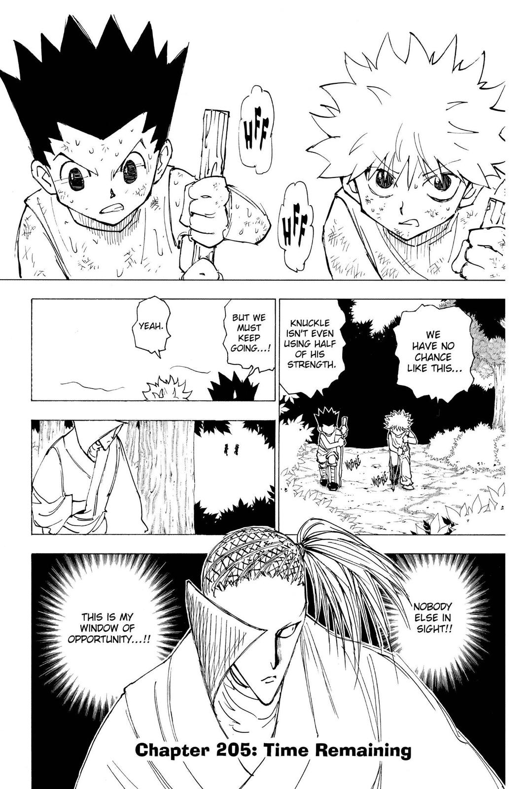 Read Hunter x Hunter chapter 205 image 0 on Lezhin