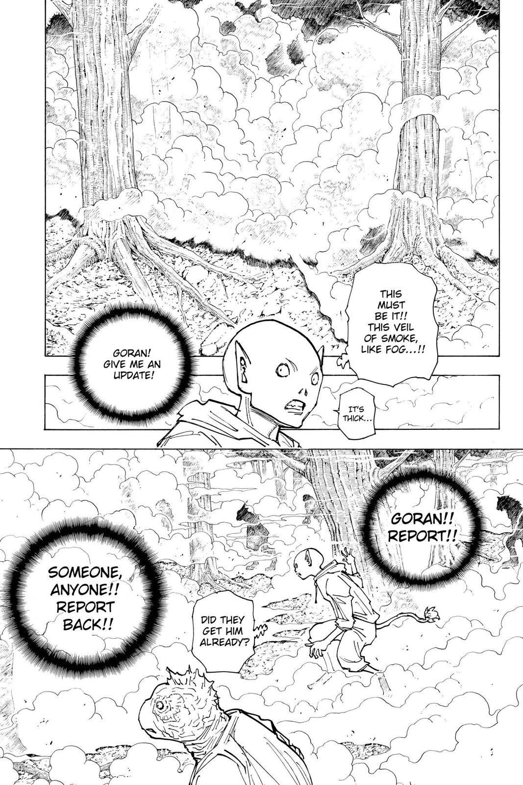 Read Hunter x Hunter chapter 205 image 10 on Lezhin