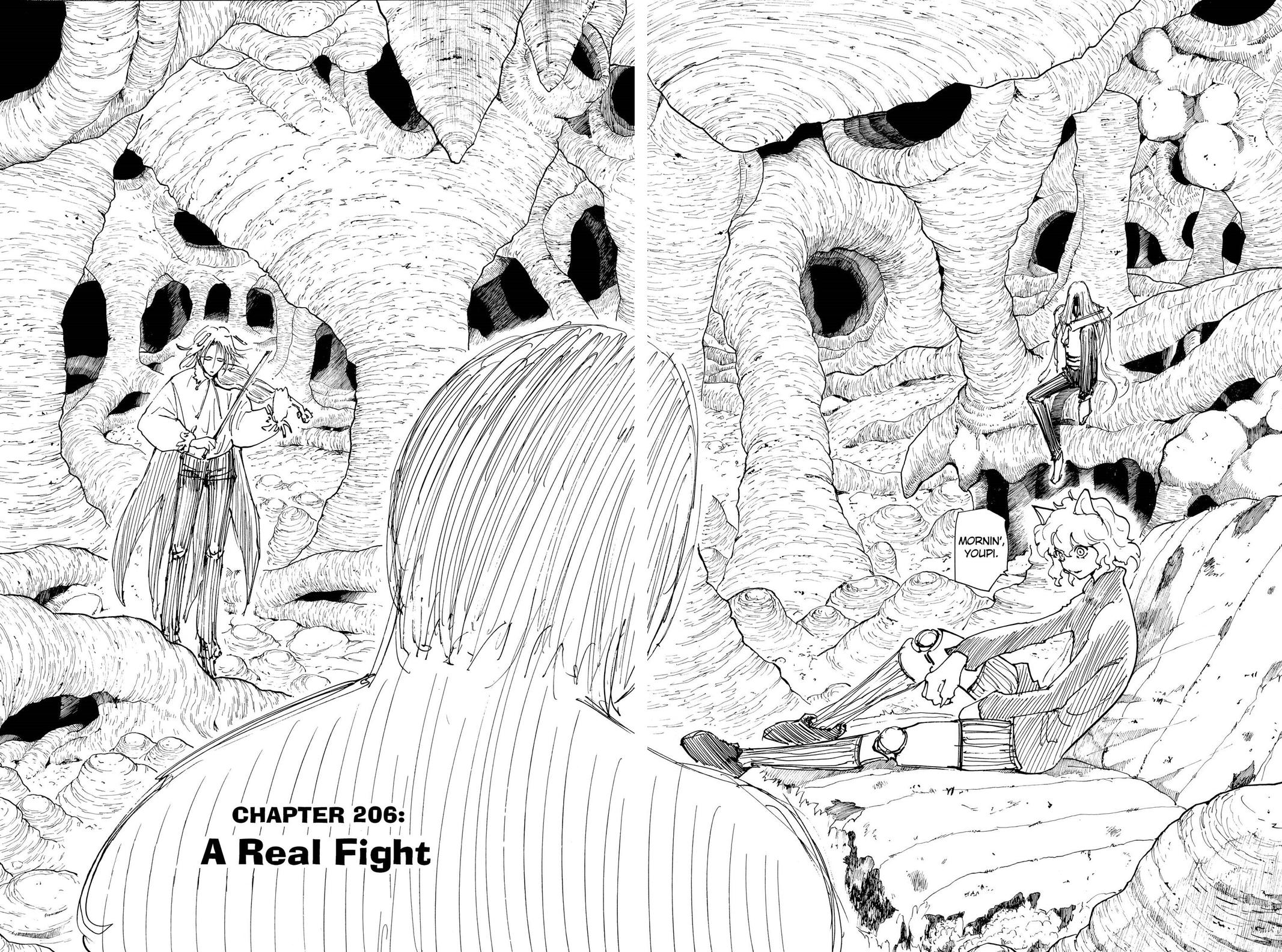 Read Hunter x Hunter chapter 206 image 3 on Lezhin