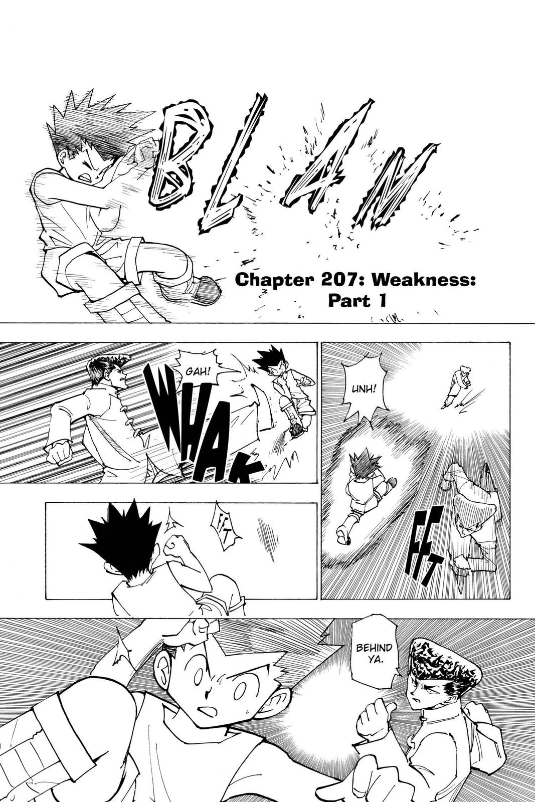 Read Hunter x Hunter chapter 207 image 0 on Lezhin