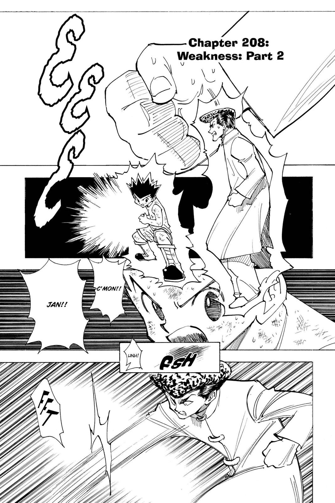 Read Hunter x Hunter chapter 208 image 0 on Lezhin