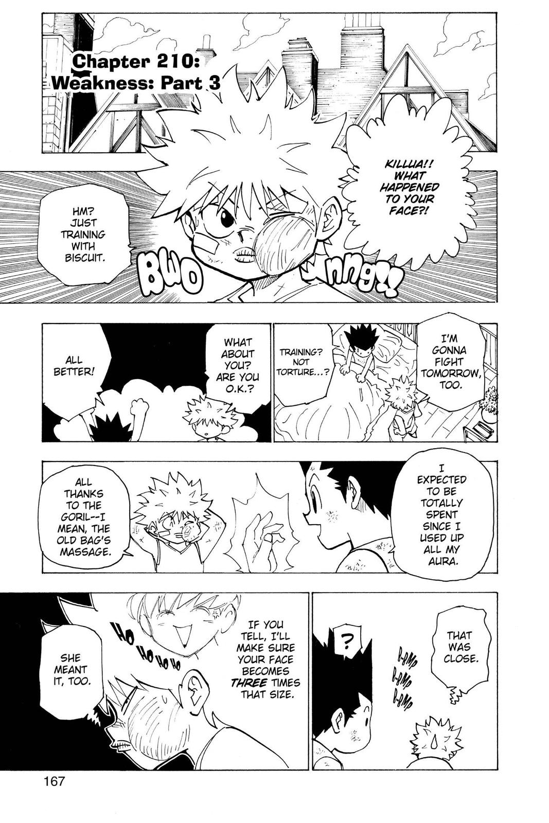 Read Hunter x Hunter chapter 210 image 0 on Lezhin