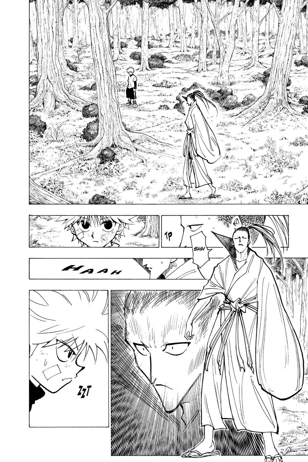 Read Hunter x Hunter chapter 211 image 13 on Lezhin