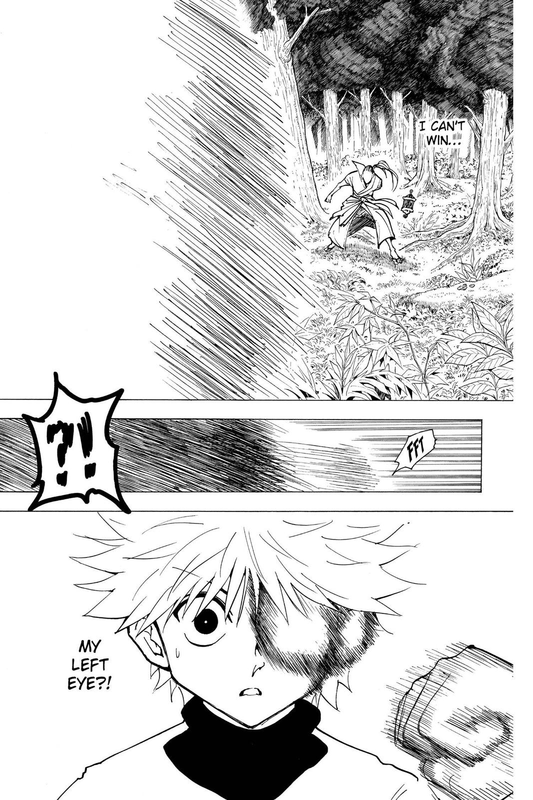 Read Hunter x Hunter chapter 212 image 12 on Lezhin