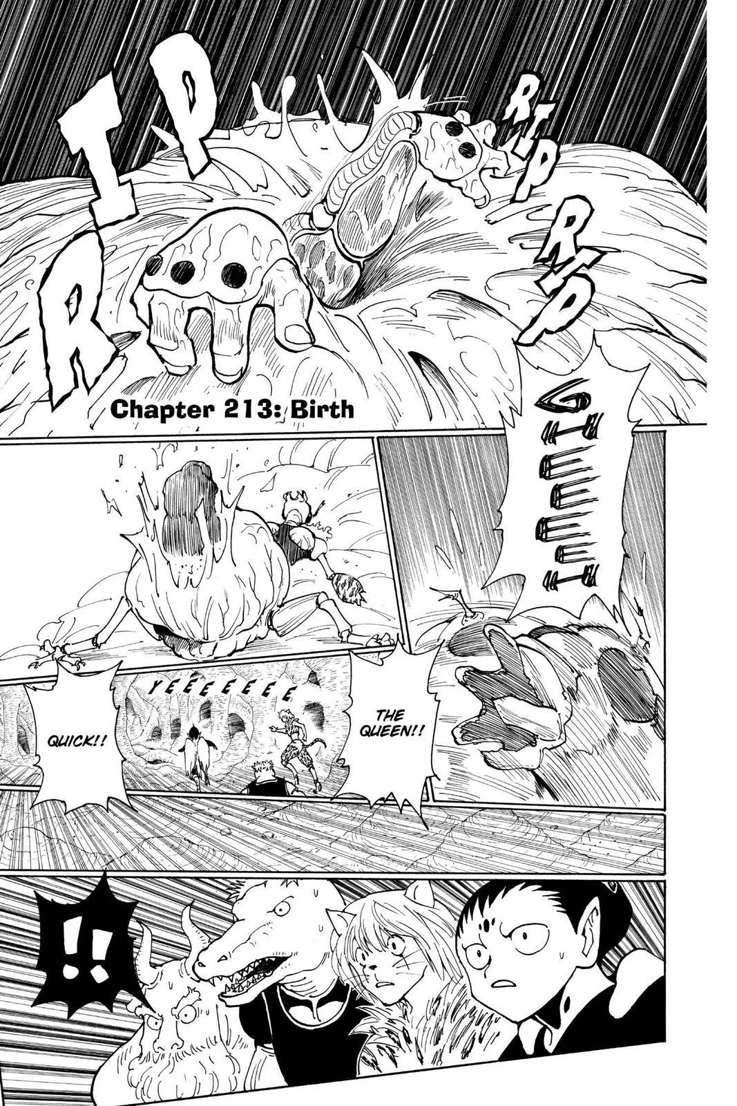 Read Hunter x Hunter chapter 213 image 0 on Lezhin