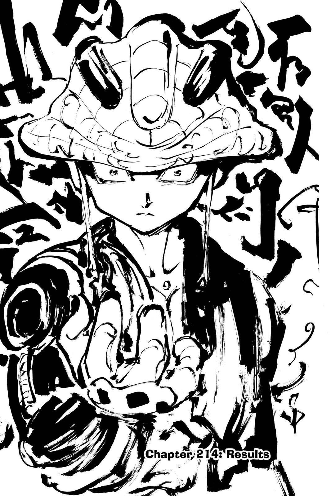 Read Hunter x Hunter chapter 214 image 0 on Lezhin