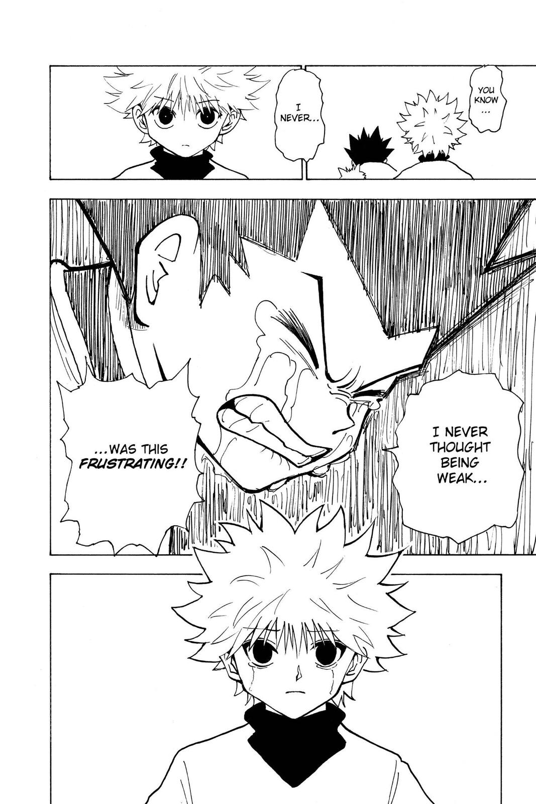 Read Hunter x Hunter chapter 214 image 13 on Lezhin
