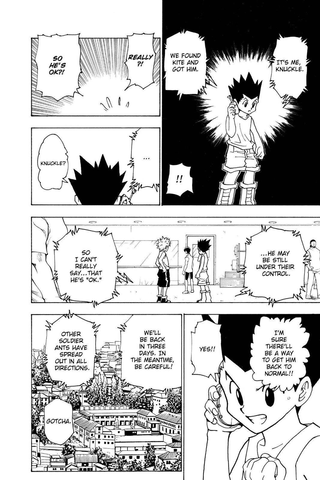 Read Hunter x Hunter chapter 217 image 13 on Lezhin