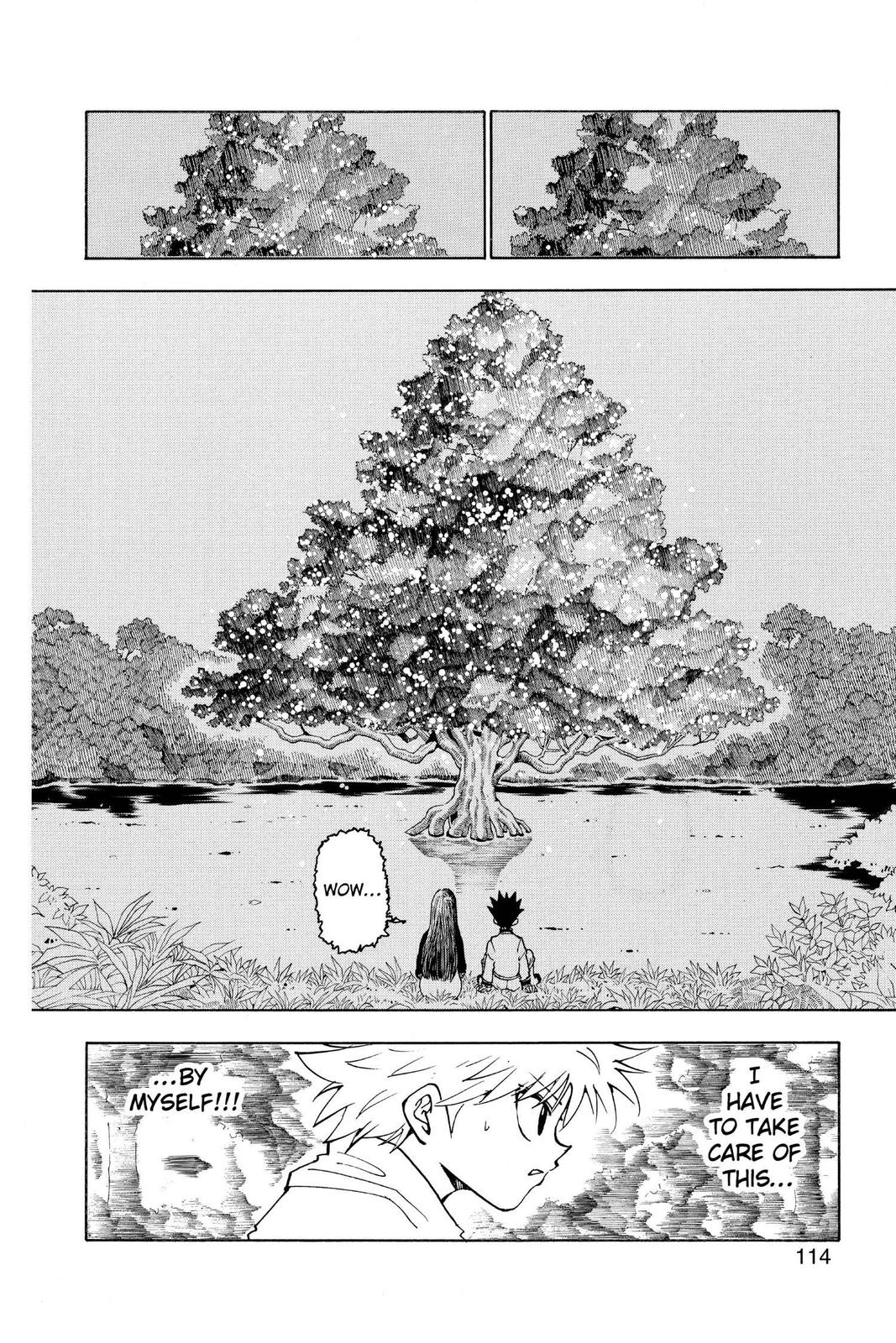 Read Hunter x Hunter chapter 218 image 11 on Lezhin