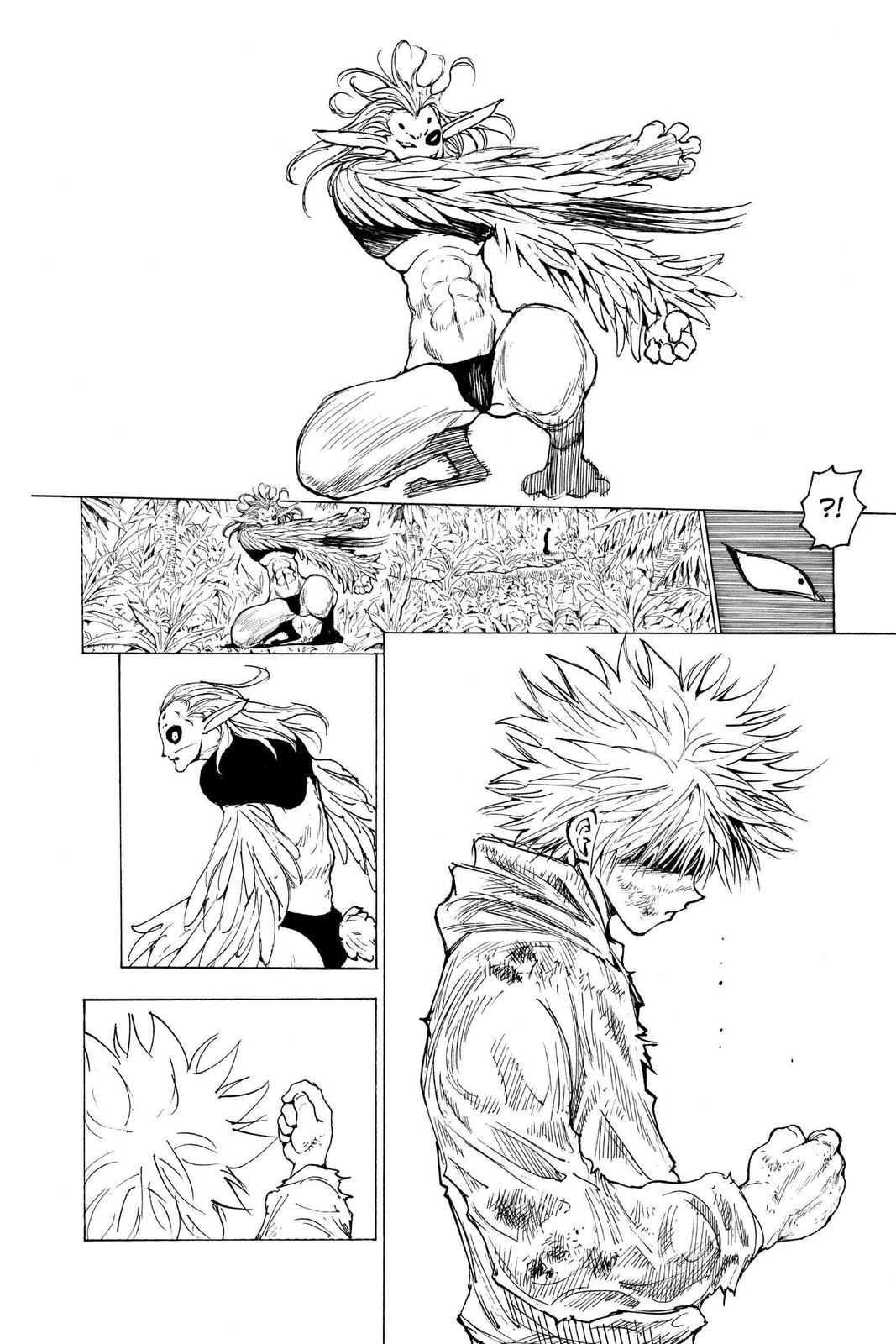 Read Hunter x Hunter chapter 219 image 9 on Lezhin