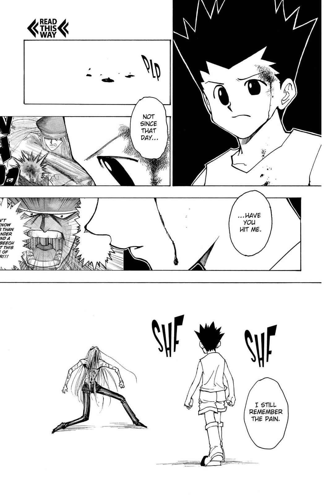 Read Hunter x Hunter chapter 222 image 6 on Lezhin