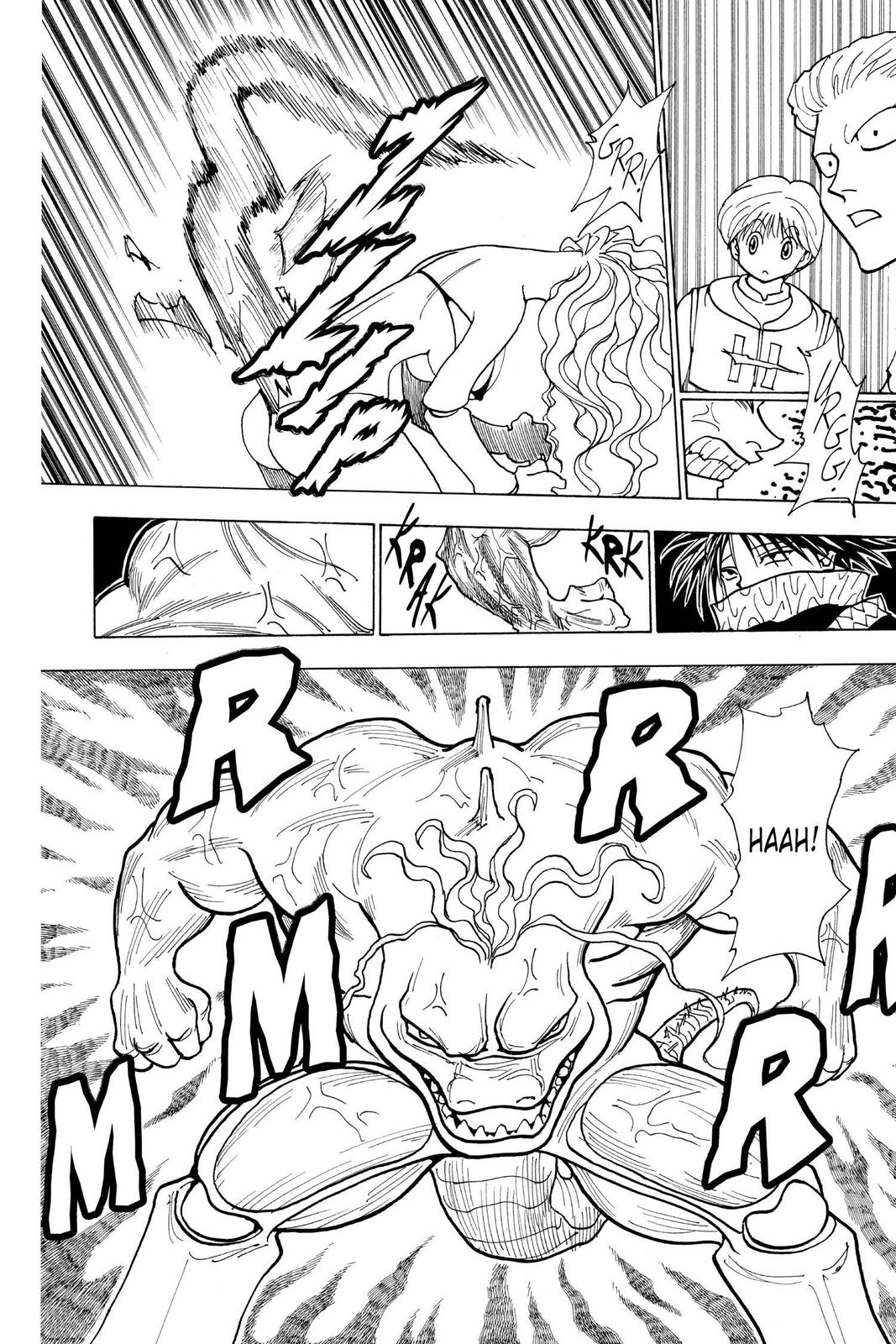 Read Hunter x Hunter chapter 228 image 11 on Lezhin