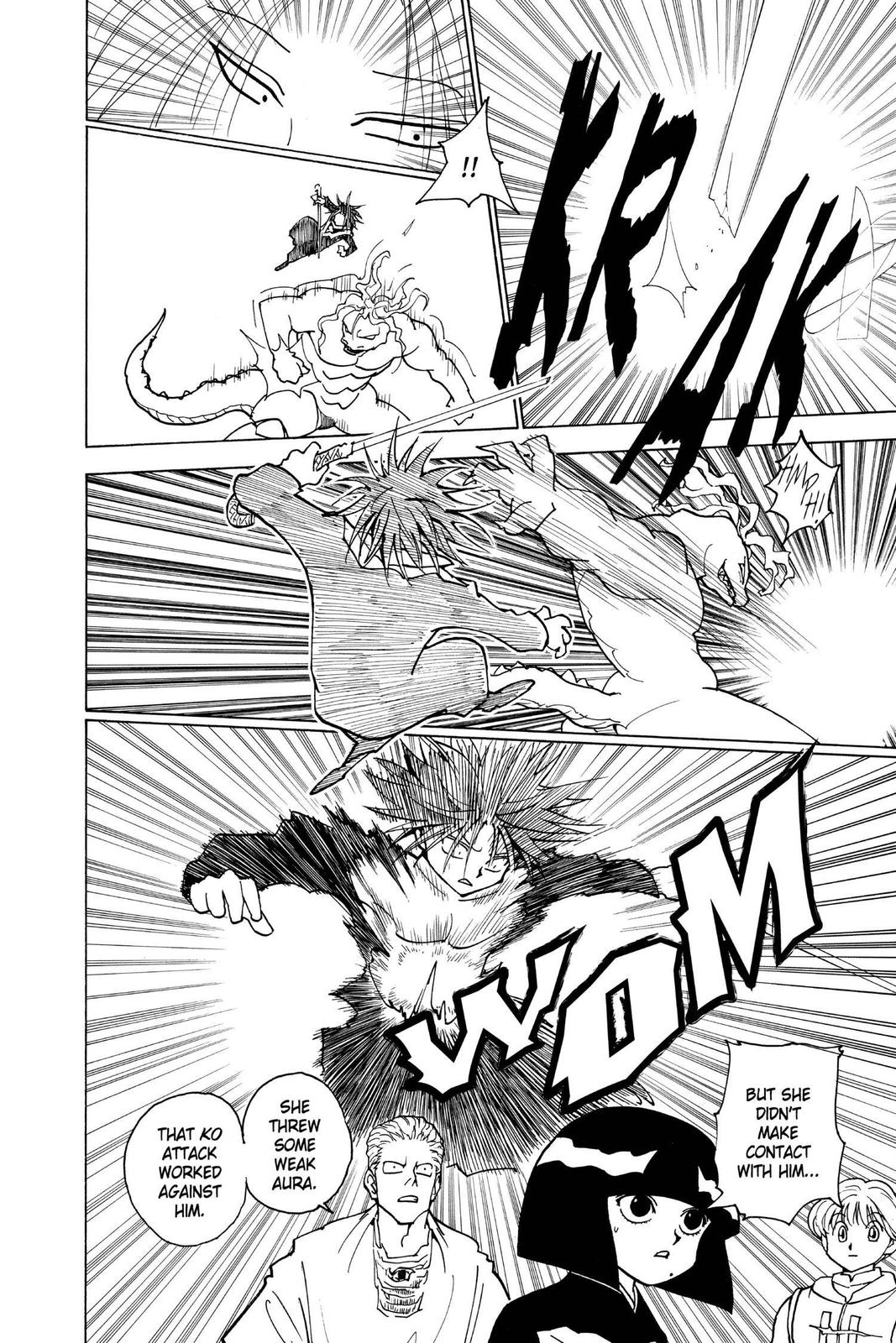 Read Hunter x Hunter chapter 228 image 13 on Lezhin