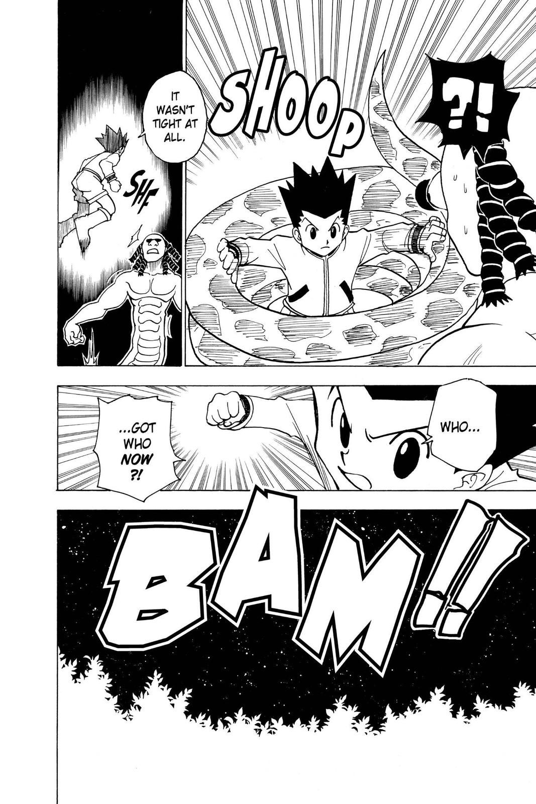 Read Hunter x Hunter chapter 231 image 11 on Lezhin