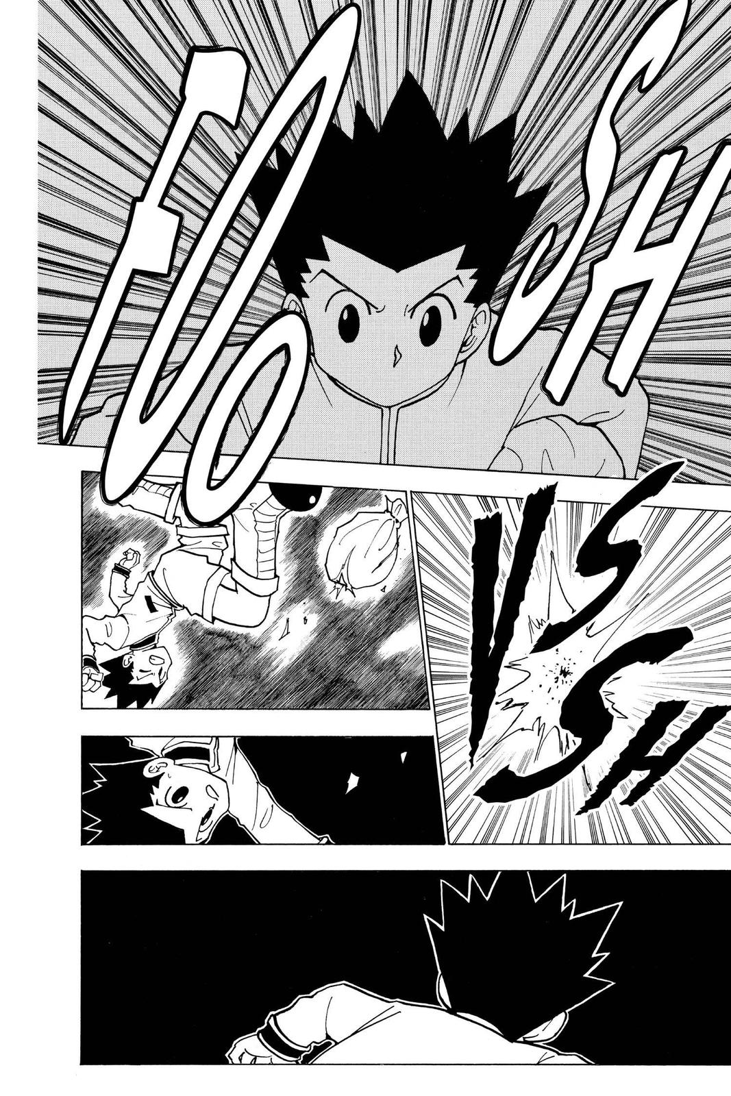 Read Hunter x Hunter chapter 231 image 13 on Lezhin