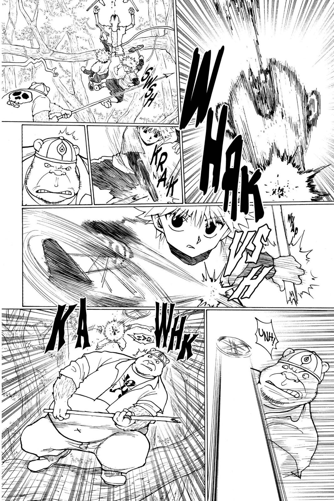 Read Hunter x Hunter chapter 236 image 11 on Lezhin