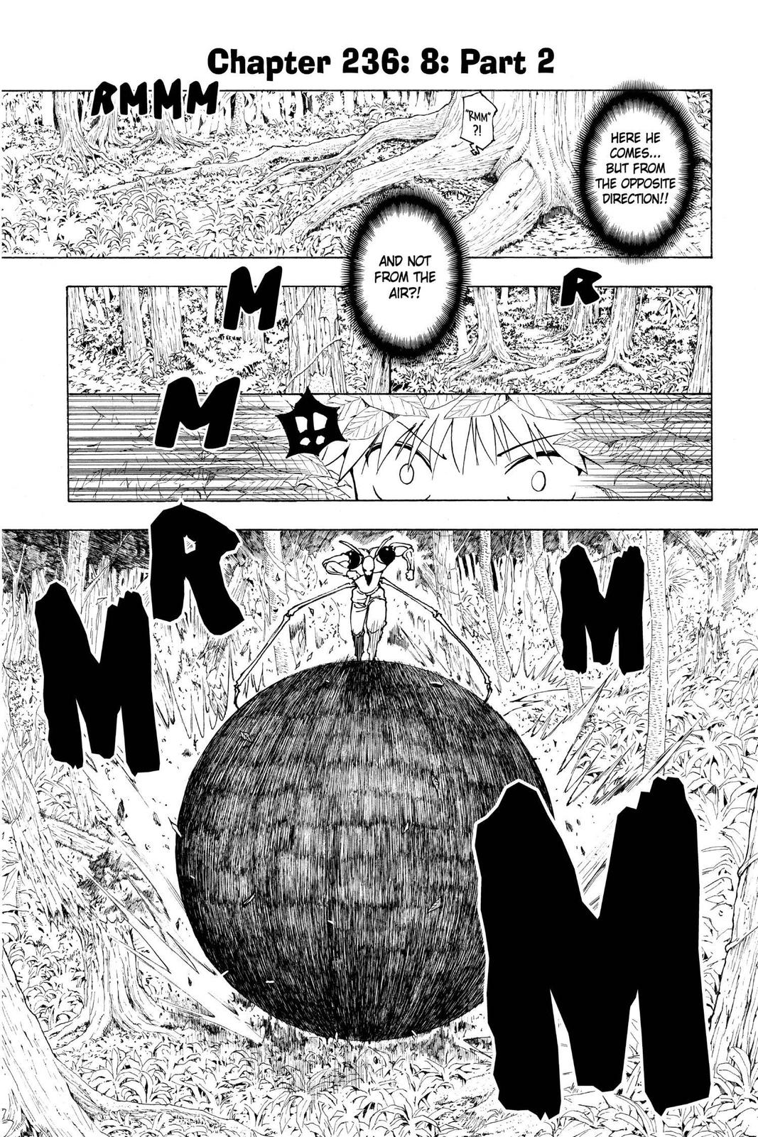 Read Hunter x Hunter chapter 236 image 6 on Lezhin