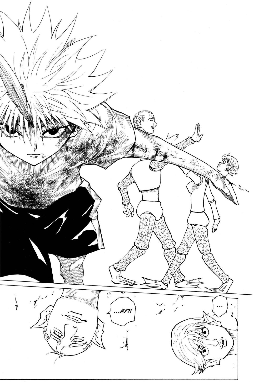 Read Hunter x Hunter chapter 240 image 10 on Lezhin