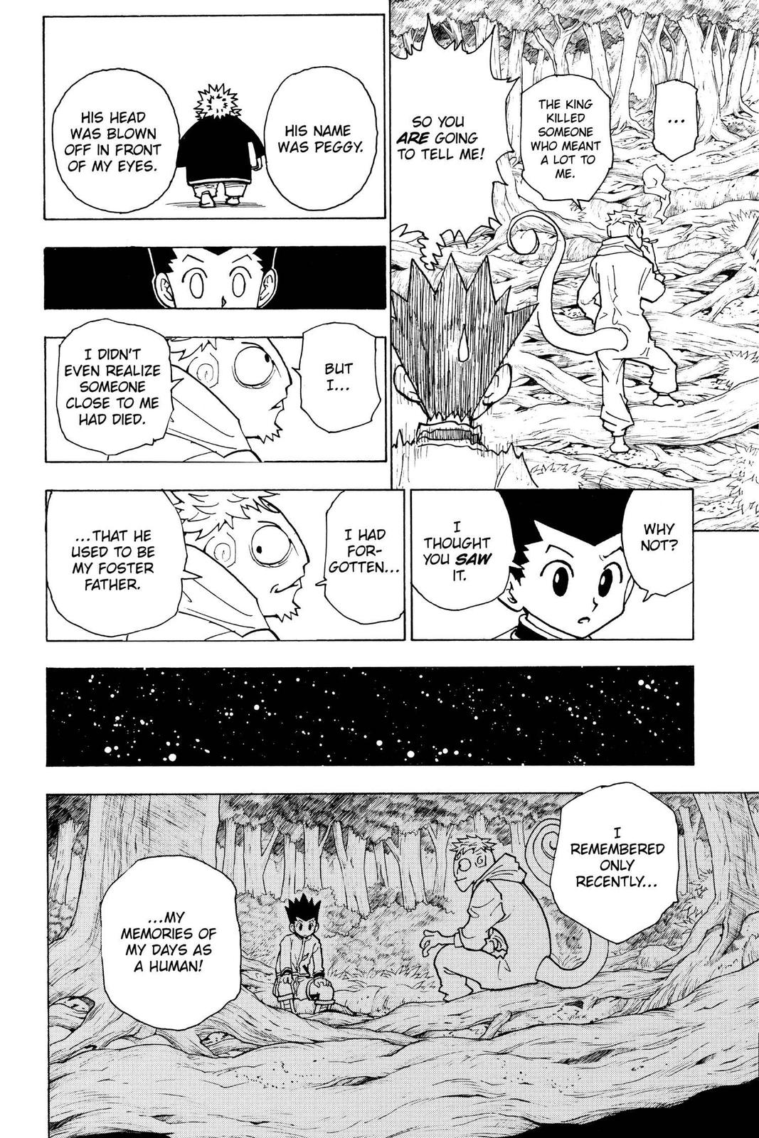 Read Hunter x Hunter chapter 242 image 11 on Lezhin