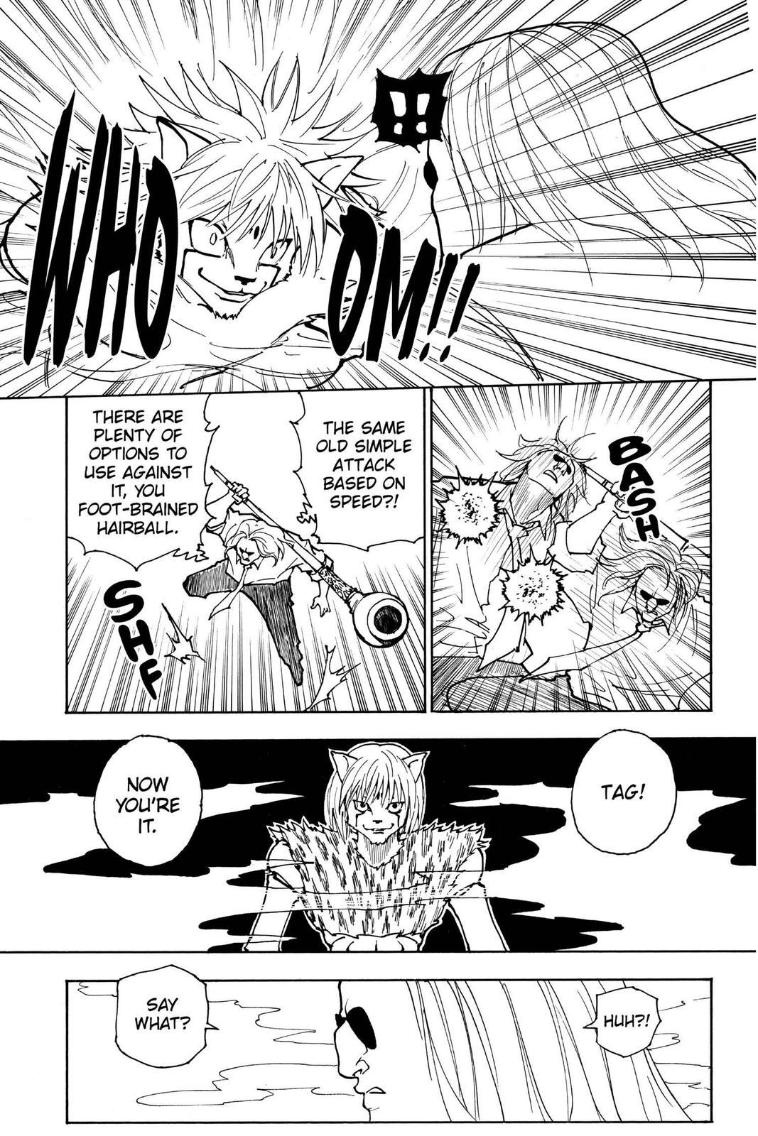 Read Hunter x Hunter chapter 245 image 2 on Lezhin