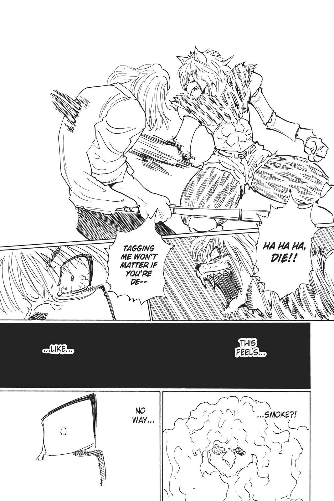 Read Hunter x Hunter chapter 248 image 10 on Lezhin