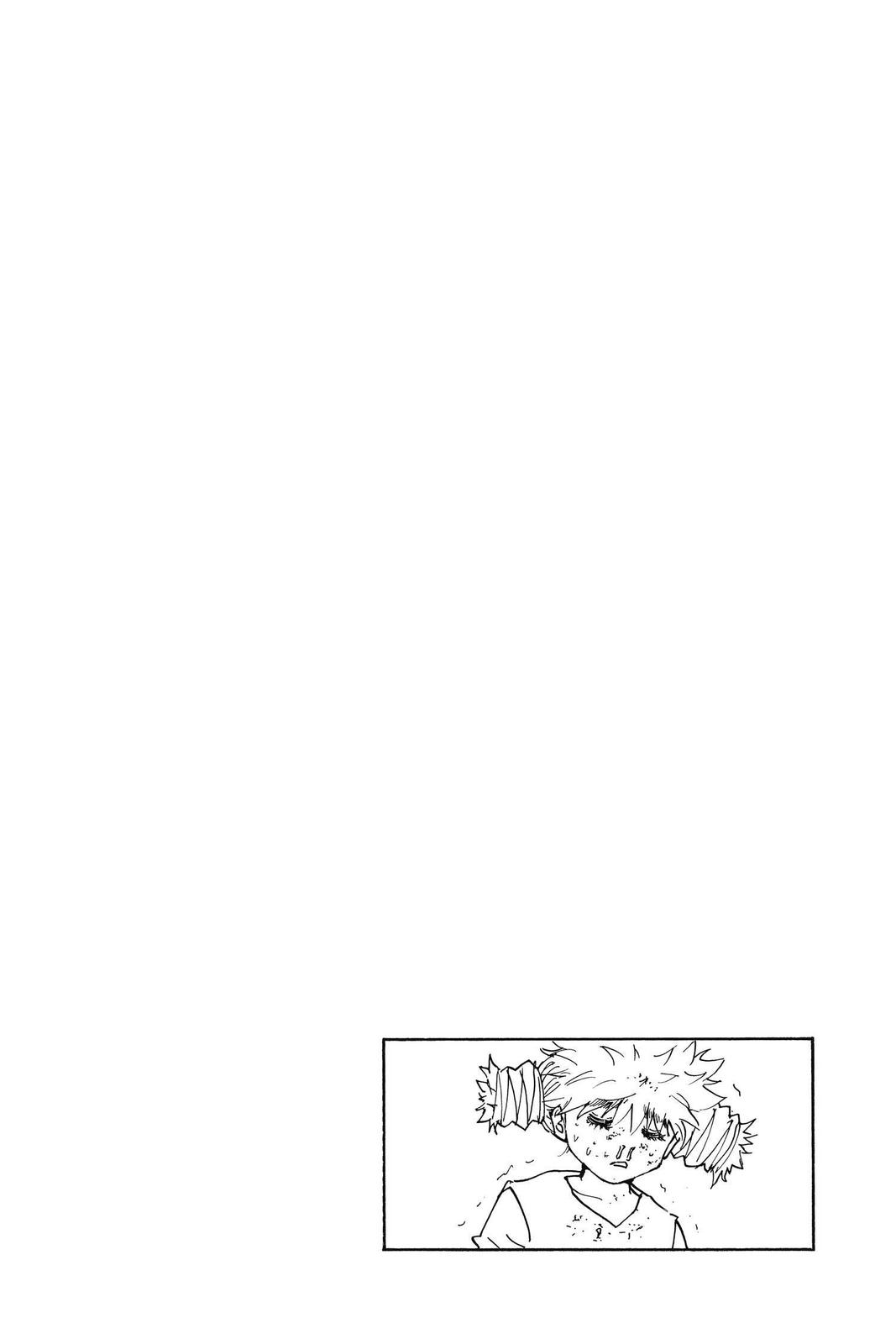 Read Hunter x Hunter chapter 249 image 15 on Lezhin