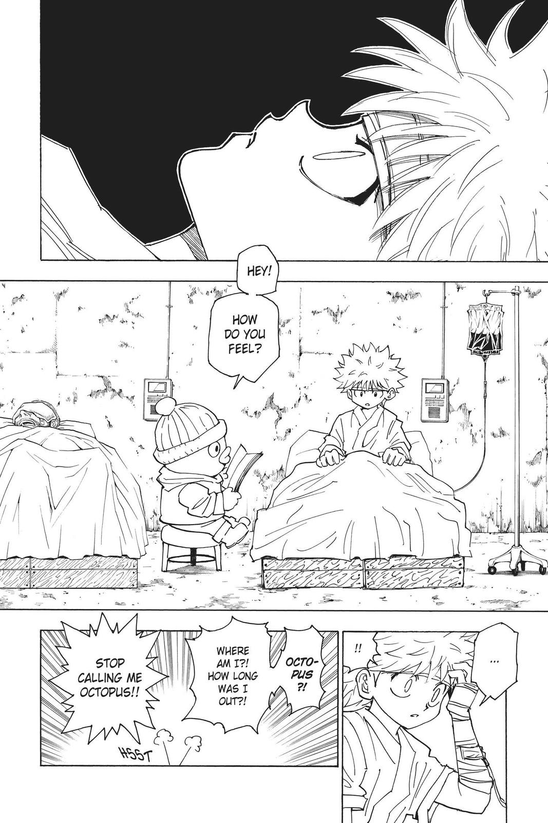 Read Hunter x Hunter chapter 255 image 2 on Lezhin