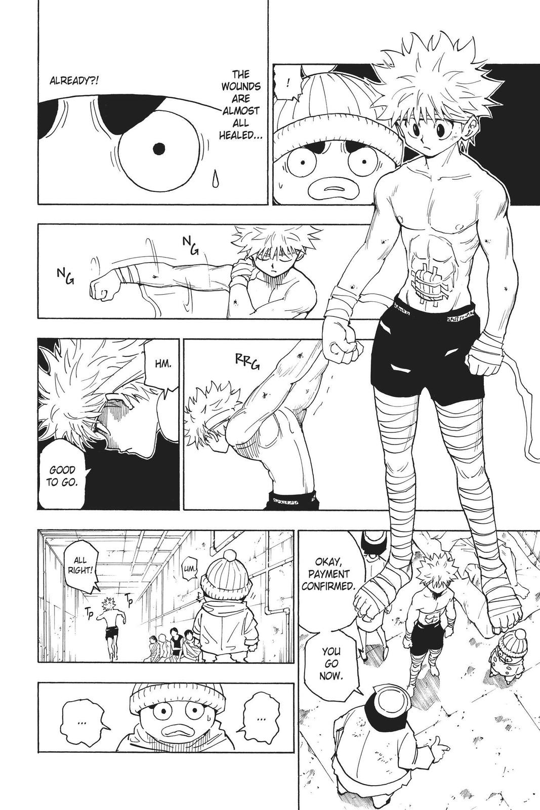 Read Hunter x Hunter chapter 255 image 6 on Lezhin