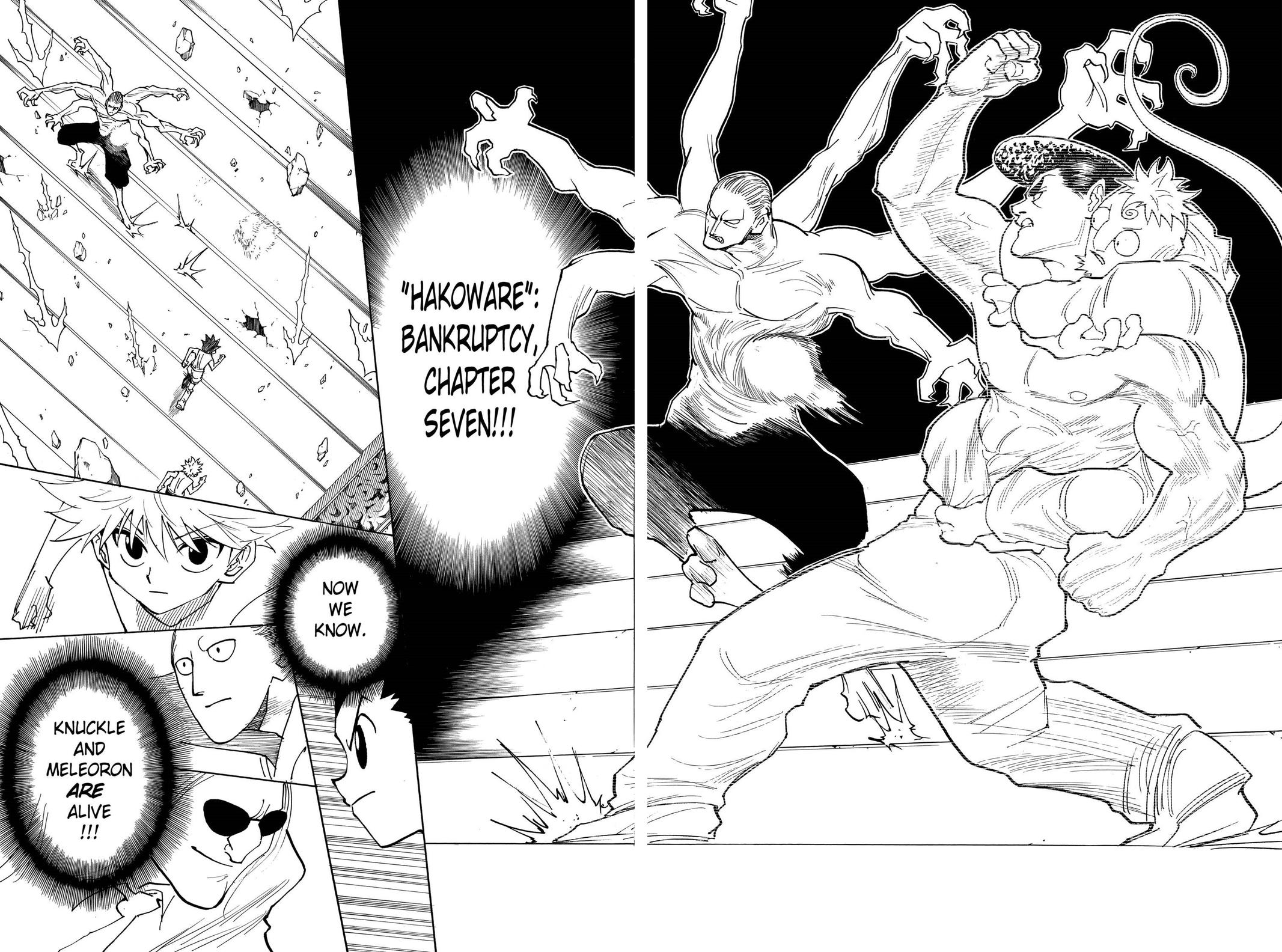 Read Hunter x Hunter chapter 266 image 14 on Lezhin