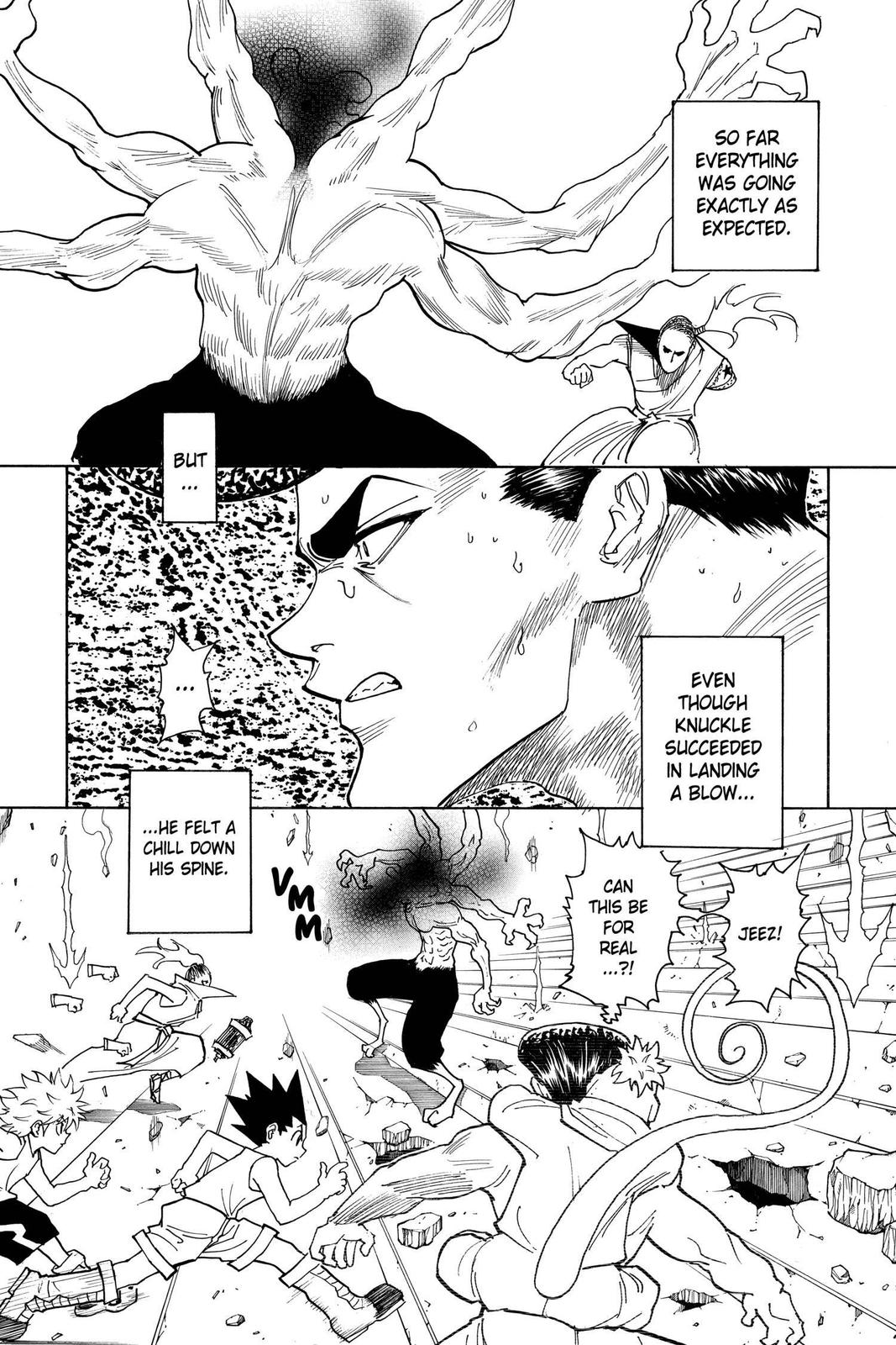 Read Hunter x Hunter chapter 267 image 3 on Lezhin