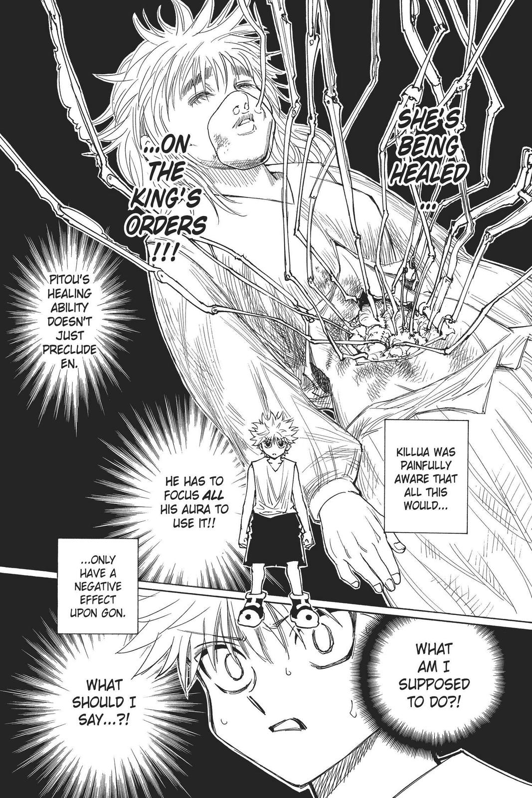 Read Hunter x Hunter chapter 274 image 11 on Lezhin
