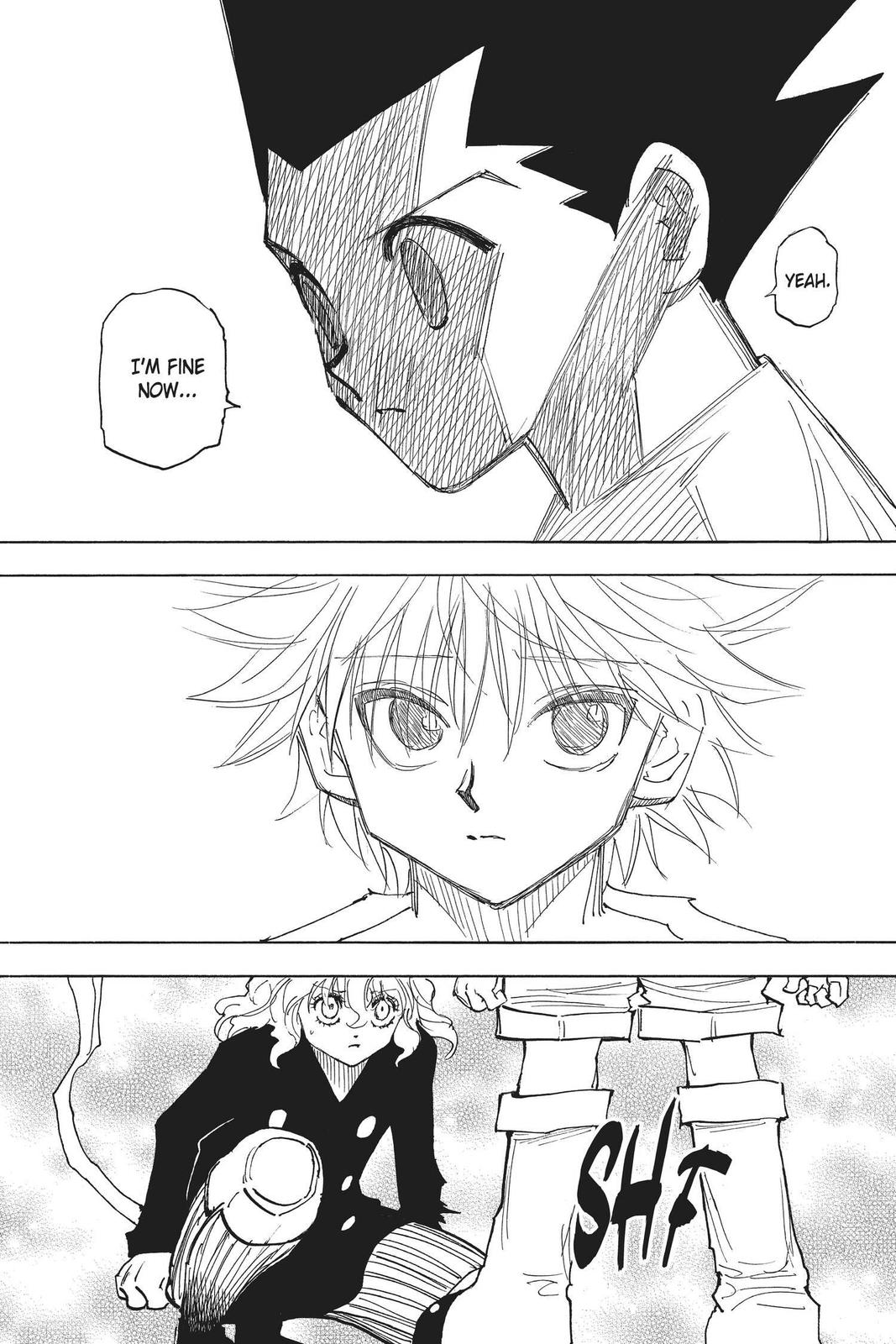 Read Hunter x Hunter chapter 275 image 12 on Lezhin