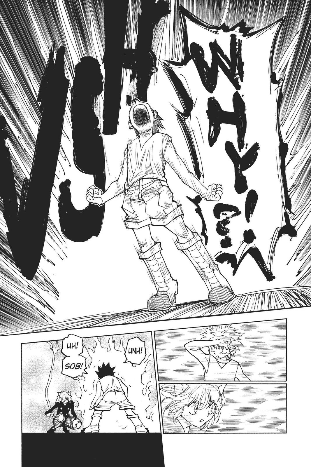 Read Hunter x Hunter chapter 275 image 8 on Lezhin
