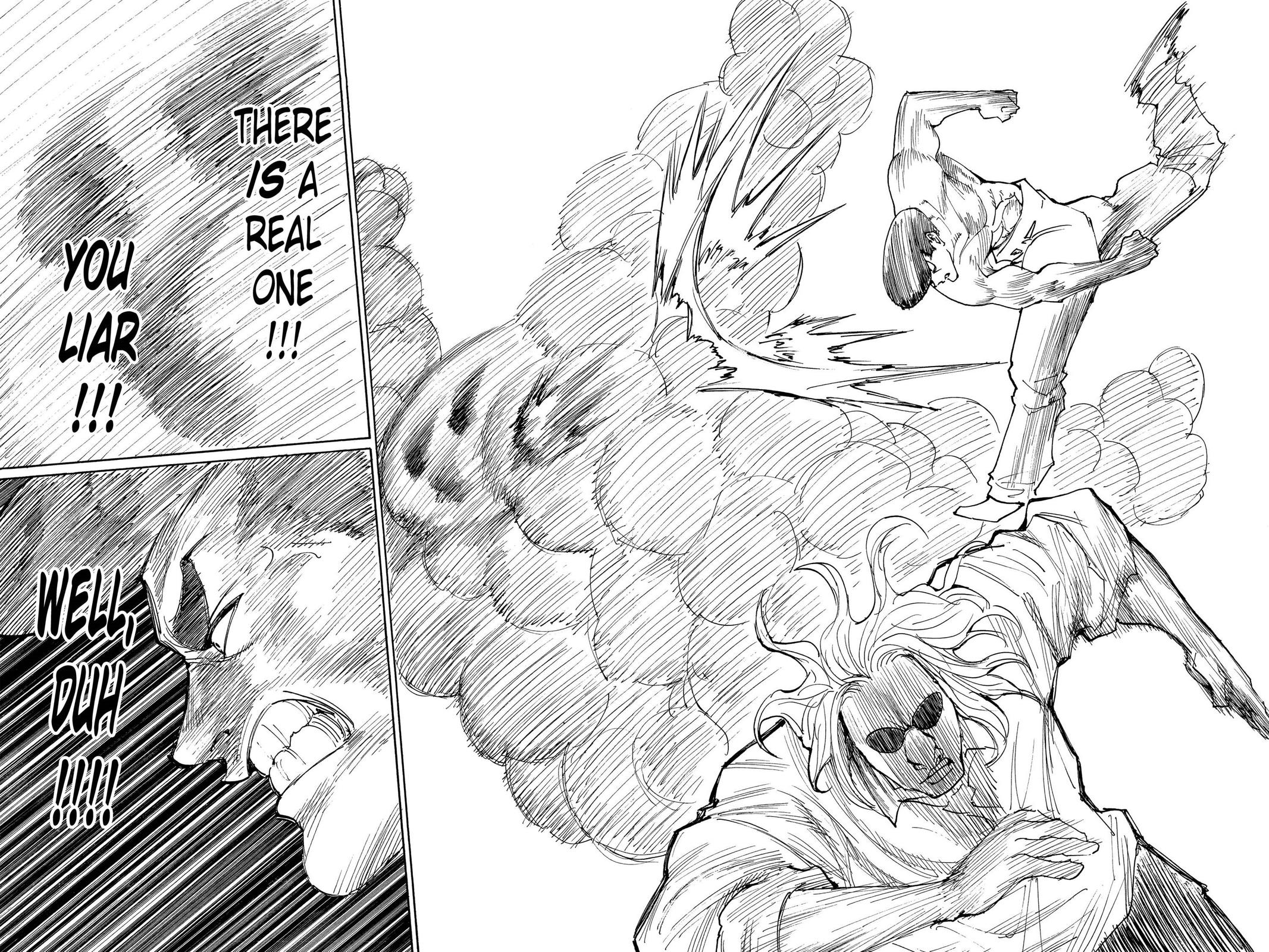 Read Hunter x Hunter chapter 285 image 13 on Lezhin