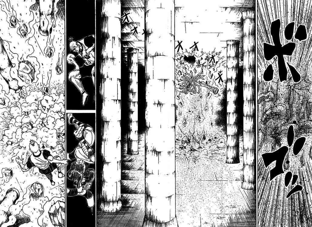 Read Hunter x Hunter chapter 291.1 image 12 on Lezhin