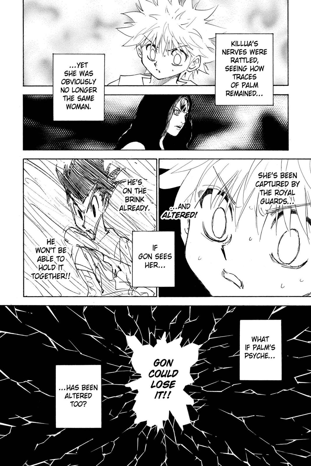 Read Hunter x Hunter chapter 293 image 5 on Lezhin