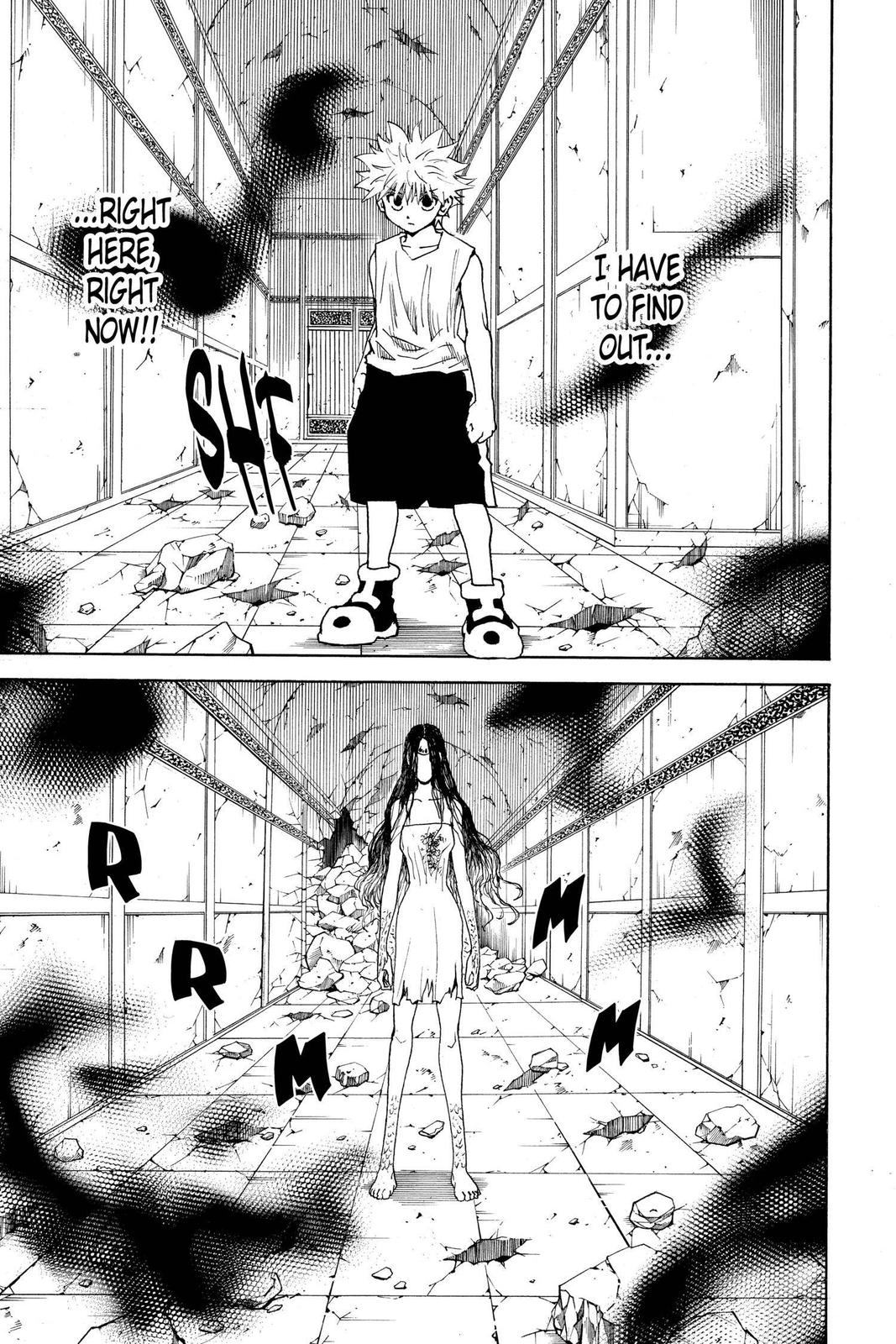 Read Hunter x Hunter chapter 293 image 6 on Lezhin