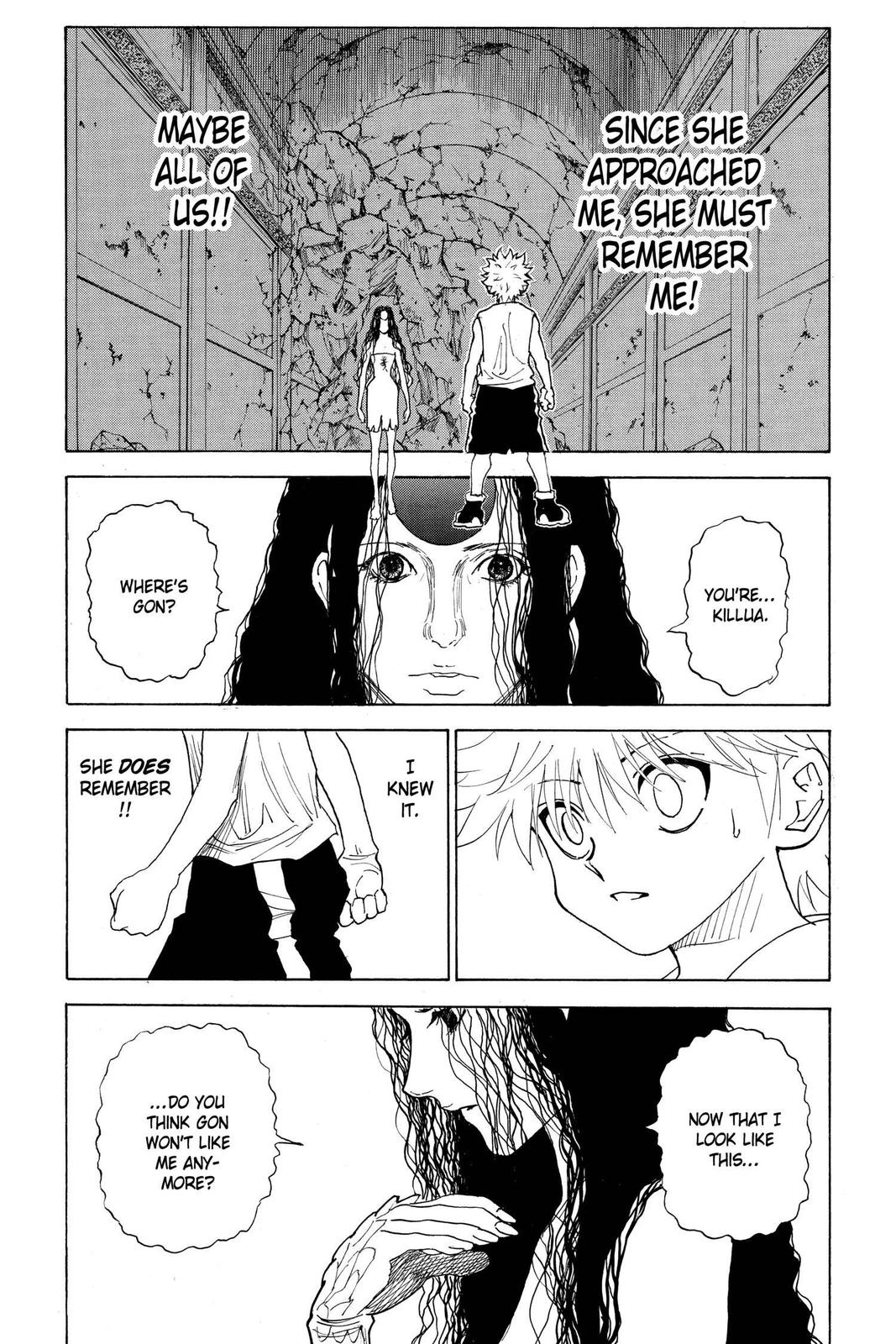 Read Hunter x Hunter chapter 293 image 8 on Lezhin