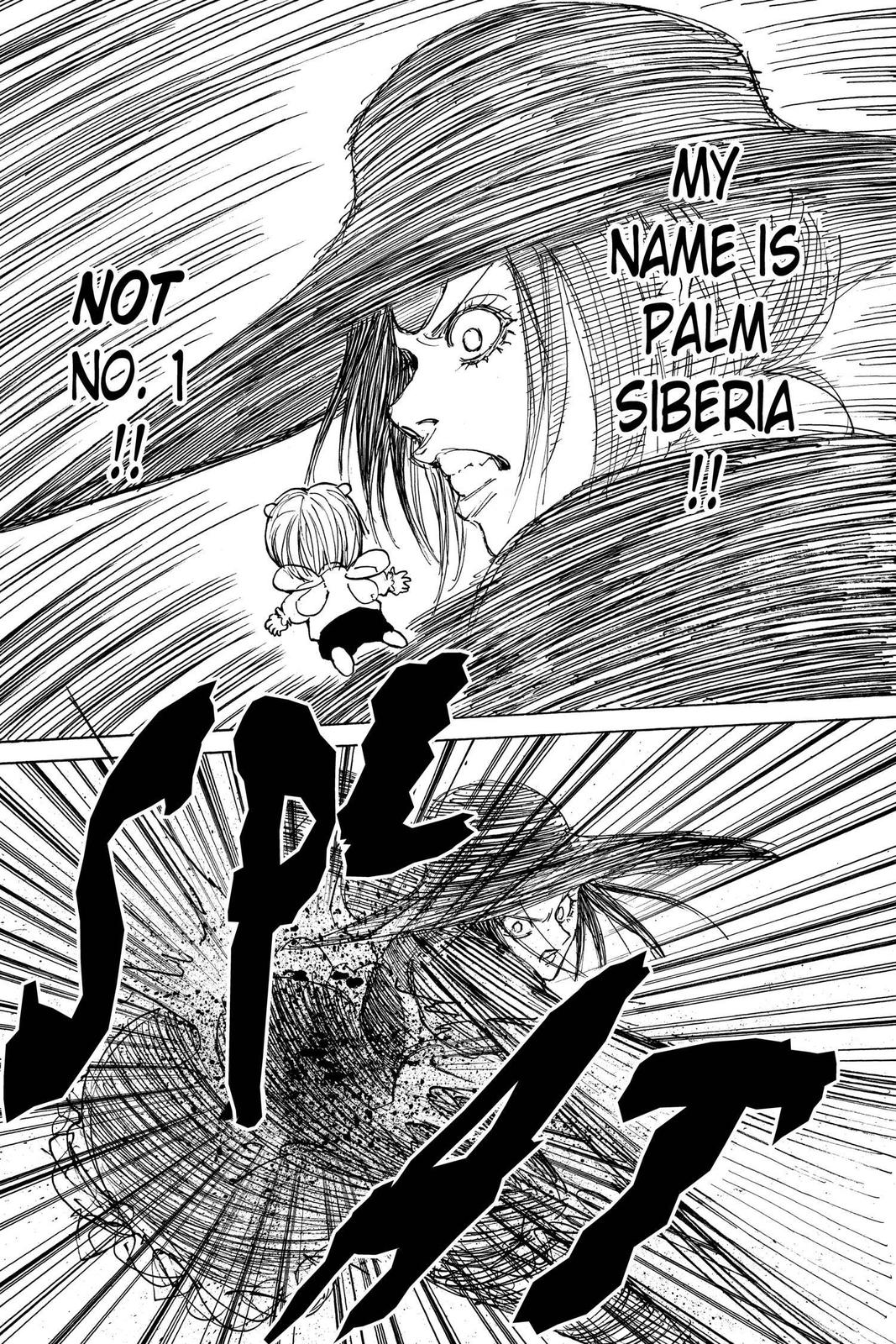 Read Hunter x Hunter chapter 294 image 14 on Lezhin