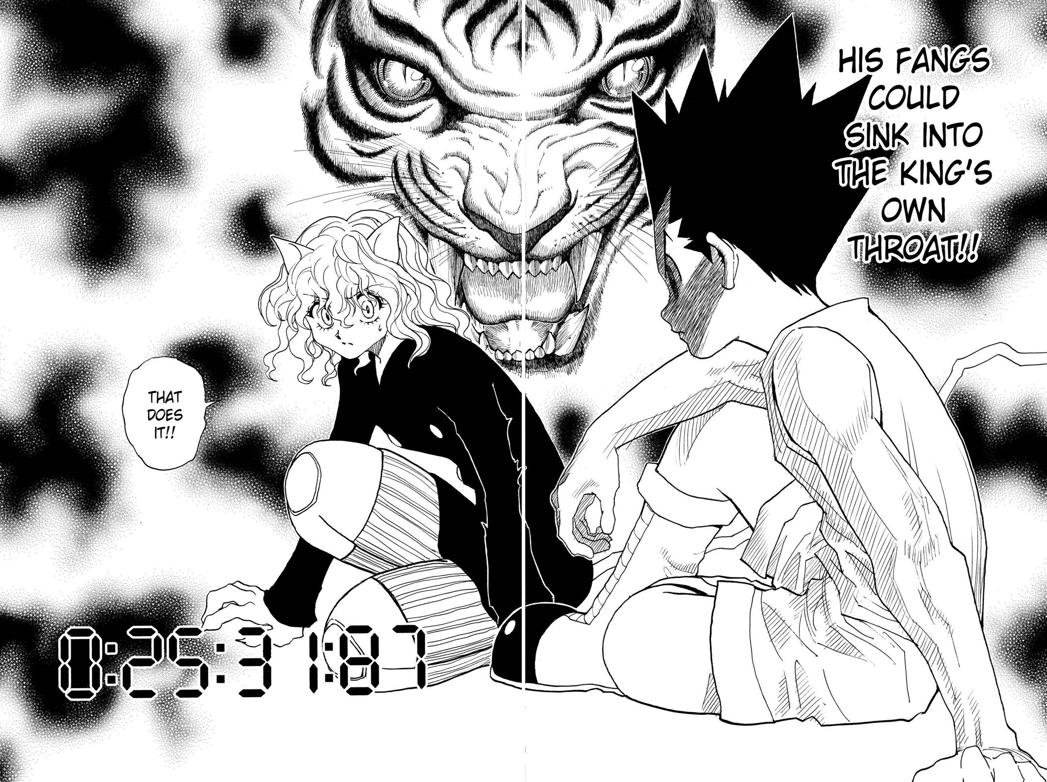 Read Hunter x Hunter chapter 295 image 13 on Lezhin