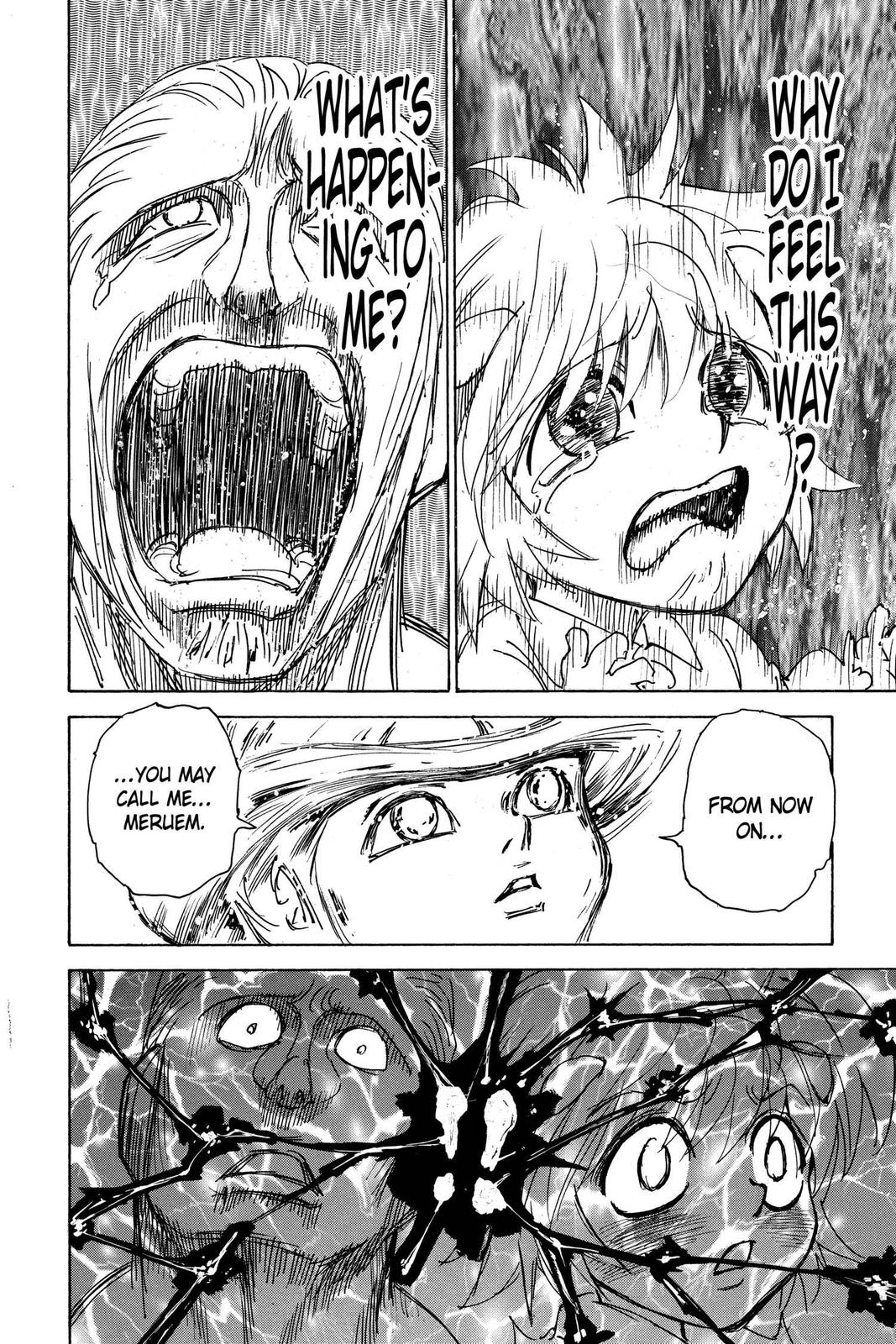 Read Hunter x Hunter chapter 299 image 13 on Lezhin