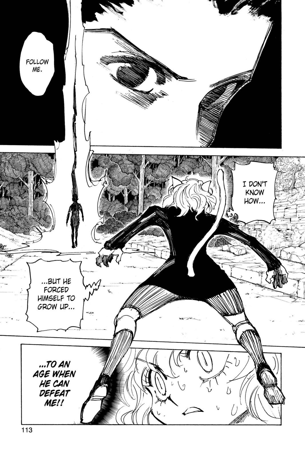 Read Hunter x Hunter chapter 306 image 5 on Lezhin
